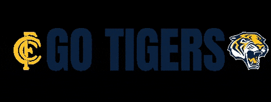 Go Tigers Cfc GIF by Claremont FC