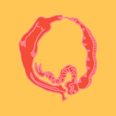 gizemoktay illustration feminism snake medusa GIF