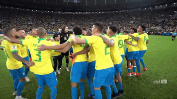 Copa America Selecao GIF by Confederação Brasileira de Futebol