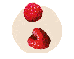 Sticker by Les Fabuleuses