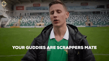 What Are Those Irish Football GIF by Northern Ireland