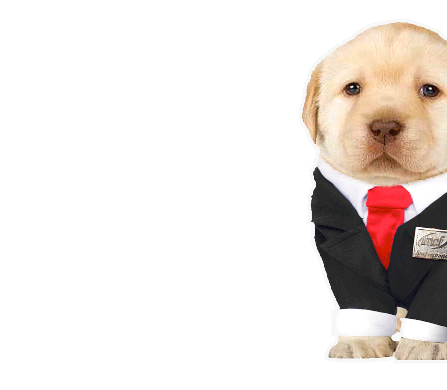 Imefu Sticker by IMEF Universitario for iOS & Android | GIPHY