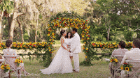 Tanu Weds Manu Gifs Get The Best Gif On Giphy