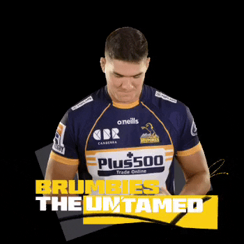 Darcy Swain GIF by BrumbiesRugby