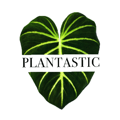 Plantastic Sticker