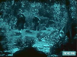 Classic Film Japanese GIF by Turner Classic Movies