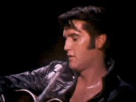 trying to get to you GIF by Elvis Presley
