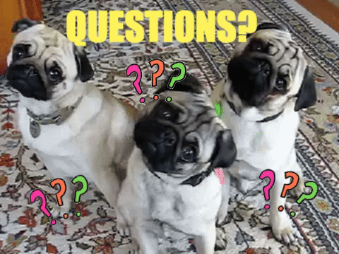 FAQs content media