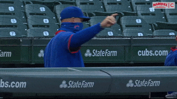 Ross Cubs GIF by Marquee Sports Network