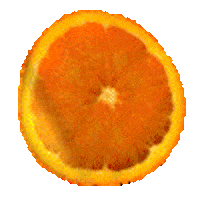 orange fruits STICKER