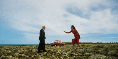 GIF by Road To The Lemon Grove