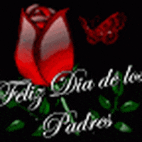 Illustrated gif. Red butterfly hovers near a glittering rosebud. Text, in Spanish, "Feliz Dia de los Padres."