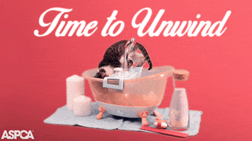 Unwind Happy Sunday GIF by ASPCA