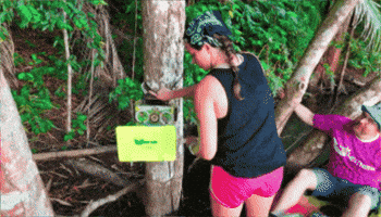 Open Science GIF