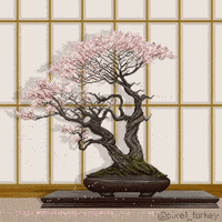 cherry blossom and gifs - image #2500382 on