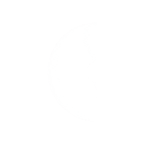 STUDIO CONCEITO Sticker