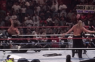Hbk Wwf Taker Hhh GIF