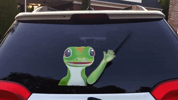 Gecko GIF by WiperTags Wiper Covers