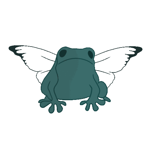 Sticker Frog With Fly 