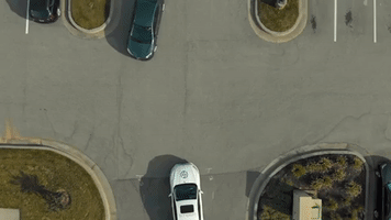 Steeronly GIF
