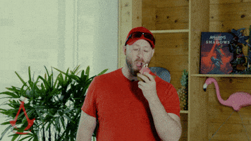 Shadows Fail GIF by Assassin's Creed