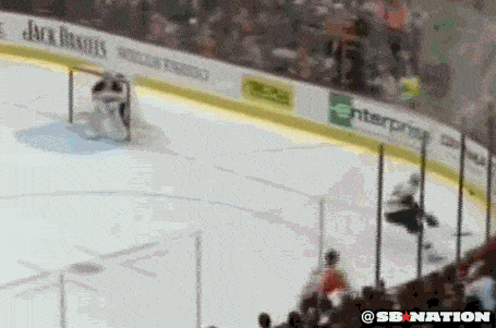 boston bruins