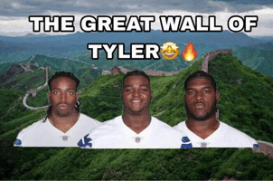 The Great Wall Of Tylers GIF