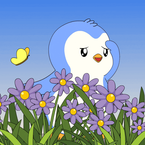 Looking Where Are You GIF by Pudgy Penguins by pudgypenguins