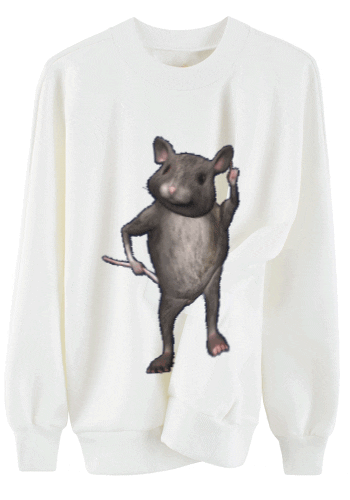 Mouse Rat GIF by The NGB