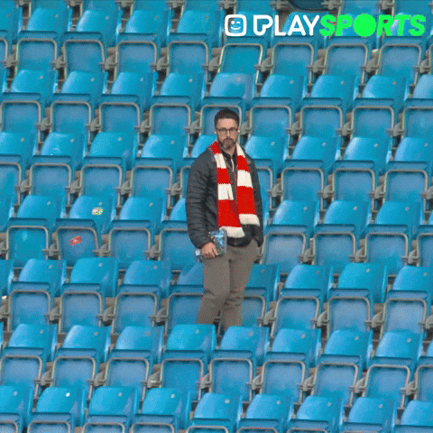 Premier League Football GIF by Play Sports