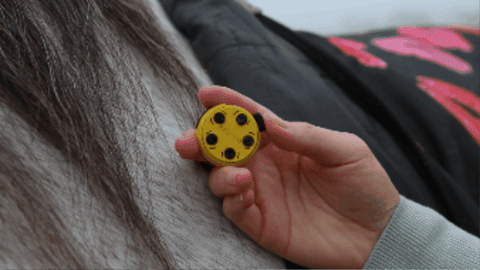 light modes functions