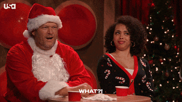 Christmas What GIF by USA Network