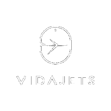 Vida Jets Sticker