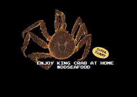 Crab Kingcrab GIF by ddseafood