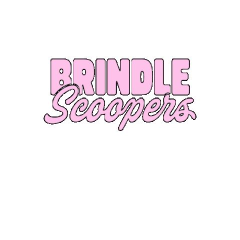 Brindle Scoopers Sticker