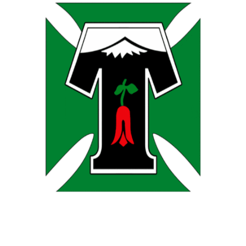Club Deportes Temuco Sticker