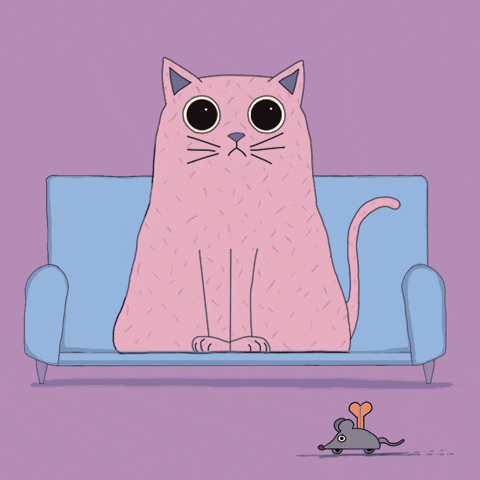 Gata GIF by victorious_es