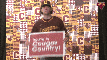 Bsb GIF by CUCougars