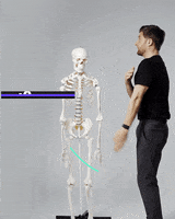 Shoulders Extension GIF by YOGABODY