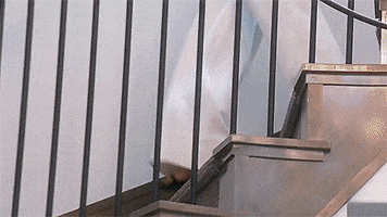Real Housewives GIF