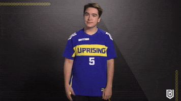 Meme Reaction GIF by Boston Uprising