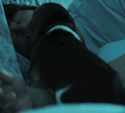 John Wick Film GIF by John Wick: Chapter 2 - Find & Share on GIPHY