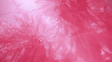 GIF by UMusicIndia