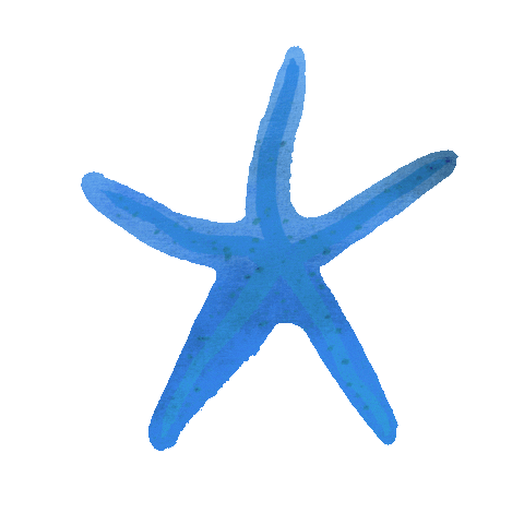 Starfish Sticker by Anthropologie