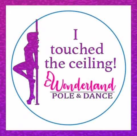 Pole Dance GIF by wonderlandpole