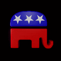 Voting Republican National Convention GIF by Creative Courage