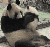 I Love You Baby Gif