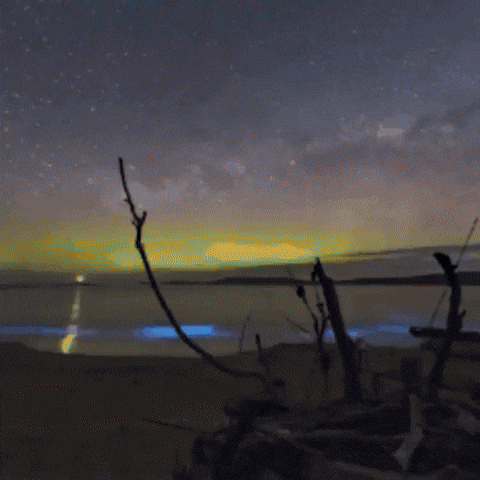 GIF by PBS Digital Studios