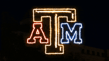 Texas Am Sparkle GIF by Texas A&M University