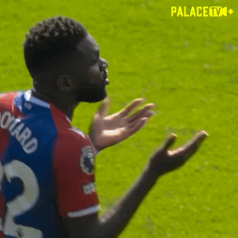 Premier League What GIF by Crystal Palace Football Club